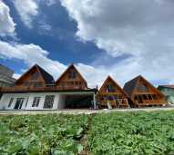 cabin segitiga view kebun